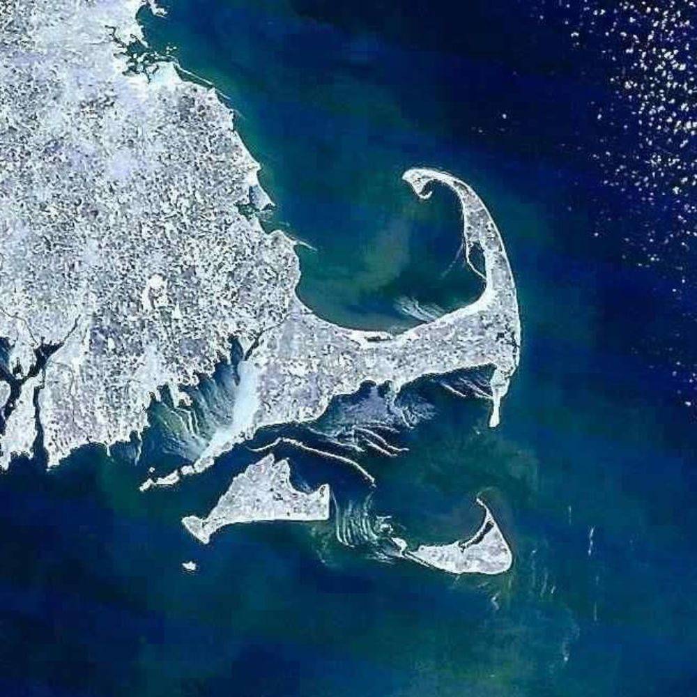 Meet your Posher, Jeanne